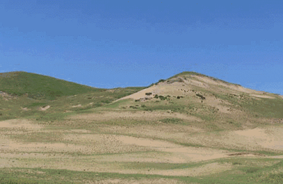 946.gif