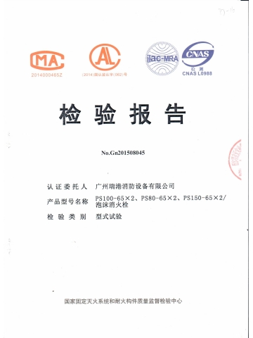 PS100-65*2泡沫消火栓检验报告