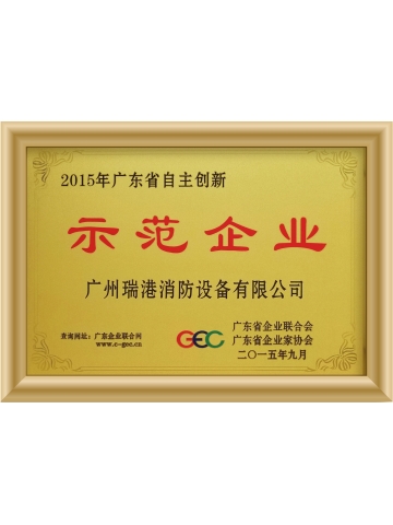 自主创新示范单位